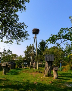 Stork Nest - Visionary Art Environment by Józef Chełmowski