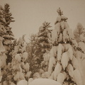 flickr-25919857914.jpg
