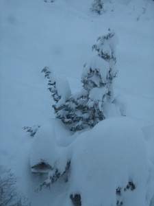 Erzgebirge Winter 2010/11 - so much snow