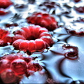 flickr-26456822721.jpg