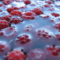 flickr-26496972446.jpg