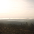 flickr-26497392626.jpg