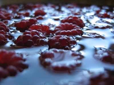 Raspberries - Himbeeren