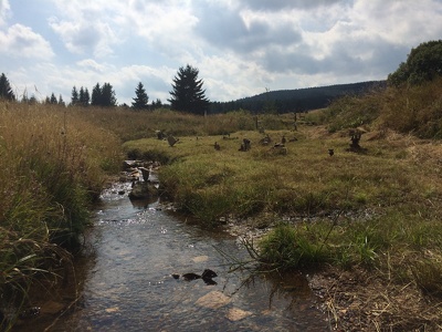 Land Art Festival, 2017 - Königsmühle, CZ