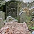 flickr-48332528367.jpg