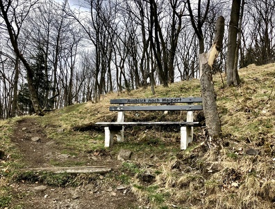 Bärenstein Gipfel / Overlook