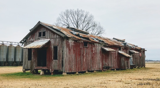 Old Barn, Akansas