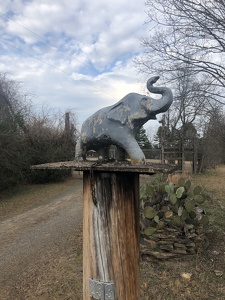 Elephant Sanctuary, Arkansas