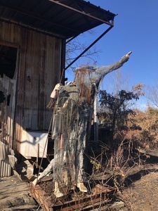 Finton Shaw's Abandoned Workshop Burned out