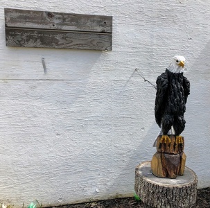 Eagle Sculpture - Booger Hollow Tabernacle, Arkansas