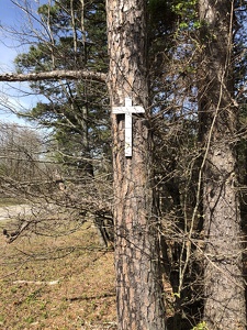 Cross on Tree - Roadside Evangelism