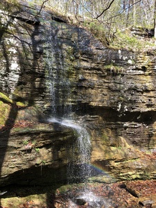 Alum Cove Natural Bridge Recreation Area