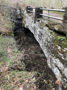 The Natural Bridge at Alum Cove