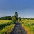 flickr-52159065424.jpg