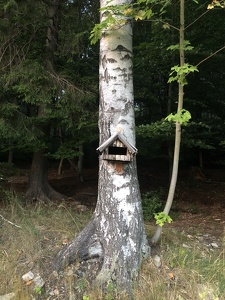 Granparent's old bird house. Someone fixed the roof.