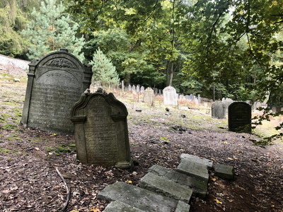 Jewish cemetery in Hroznětín (CZ)