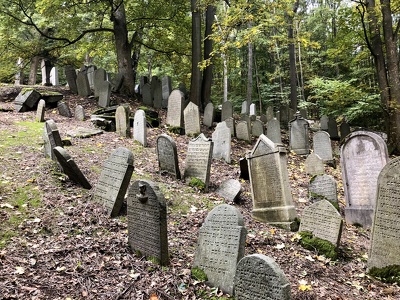 Jewish cemetery in Hroznětín (CZ)