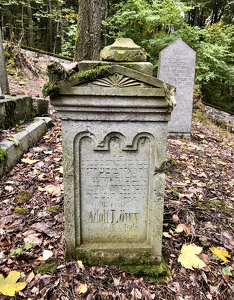 Jewish cemetery in Hroznětín (CZ)