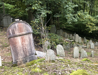 Jewish cemetery in Hroznětín (CZ)