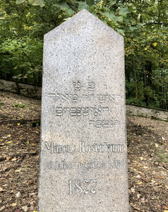 Jewish cemetery in Hroznětín (CZ)