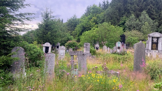 Forest Cemetery in České Hamry, CZ