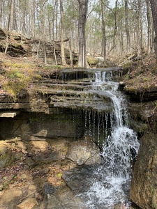 Bluffton Preserve on the Archey Fork, Clinton, AR