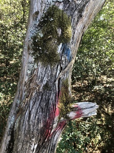 Hippie Rocks at Arkansas River, Conway, AR