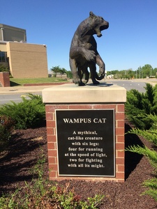 Wampus Cat