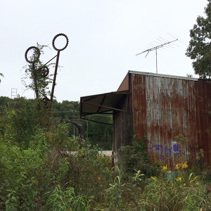 Finton Shaw - Sculpture Garden