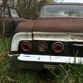 flickr-46702507185.jpg