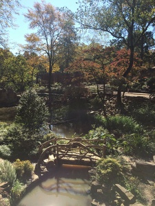 The Old Mill, T.R. Pugh Memorial Park - Dionicio Rodriguez