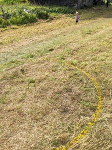 Land Art Festival, 2017 - Königsmühle, CZ