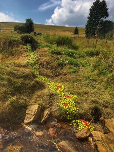 Land Art Festival, 2017 - Königsmühle, CZ