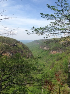 Cloudland Canyon