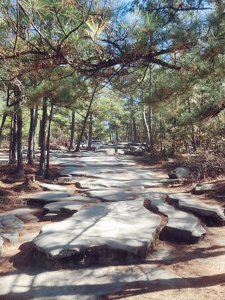 Stone Mountain, Georgia