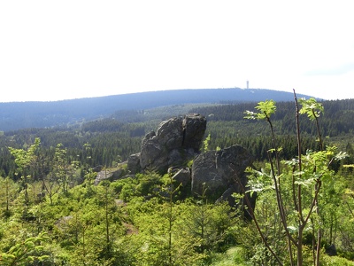 Wirbelsteine, Meluzína, CZ