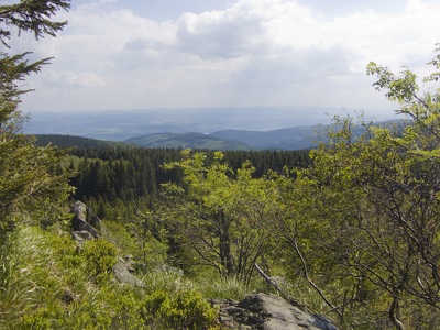 Wirbelsteine, Meluzína, CZ