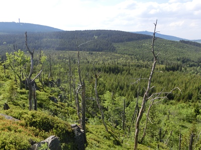 Wirbelsteine, Meluzína, CZ