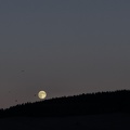 flickr-7694012572.jpg