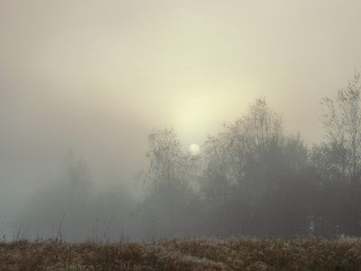 Misty Morning