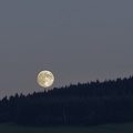 flickr-7694039798.jpg