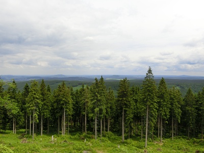 Wanderung Wolfner Mühle/Taufichtig