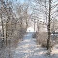 flickr-25920736134.jpg