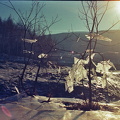 flickr-26416547882.jpg