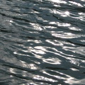 flickr-25922648673.jpg