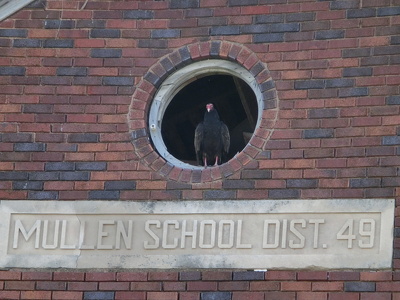 Abandoned Decaying School, IL